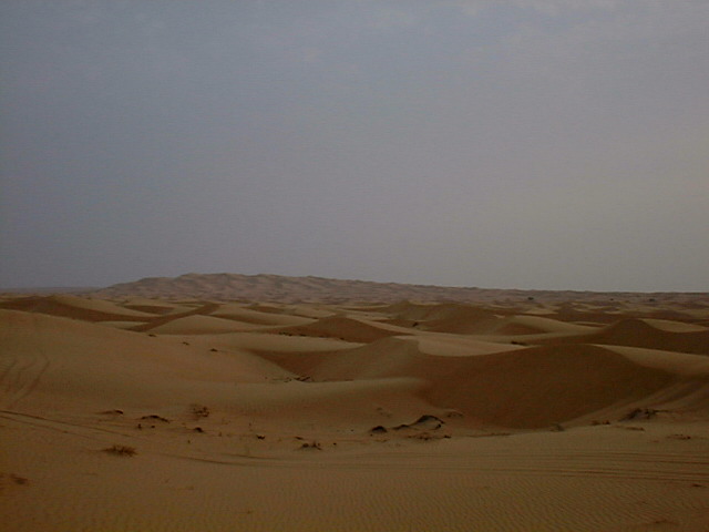 Dscf0093.jpg (59414 bytes)